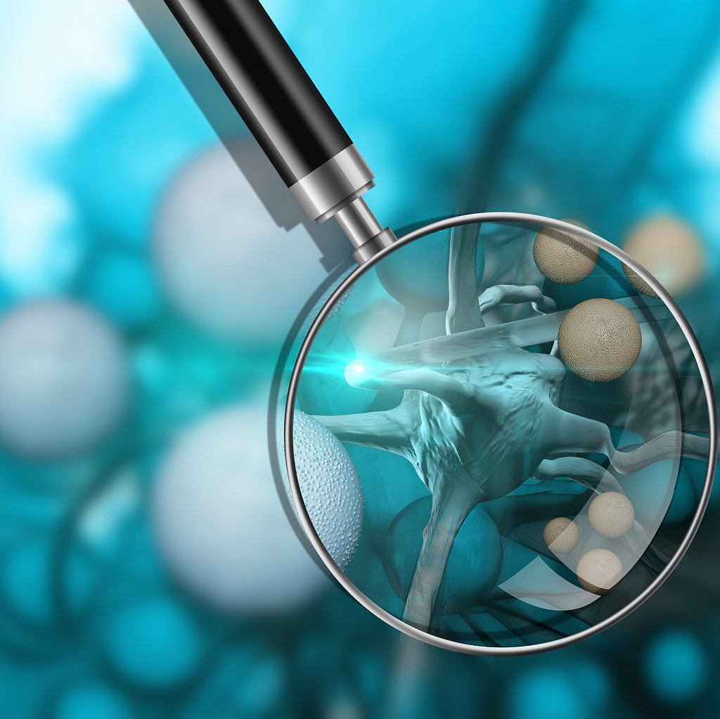 Сталкивались ли вы или ваши близкие с онкологическими заболеваниями?