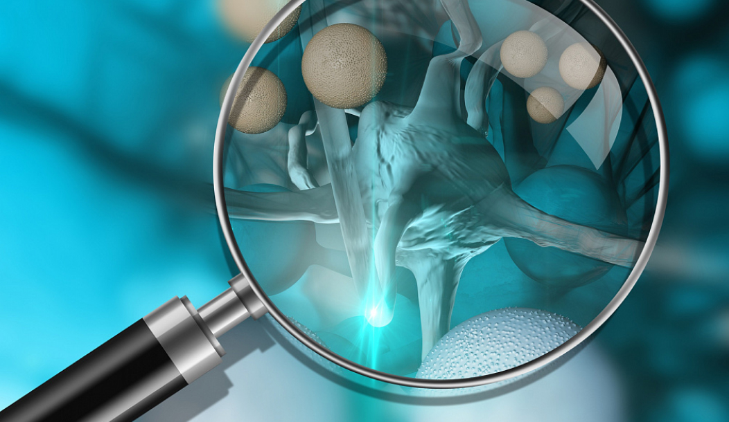 Сталкивались ли вы или ваши близкие с онкологическими заболеваниями?