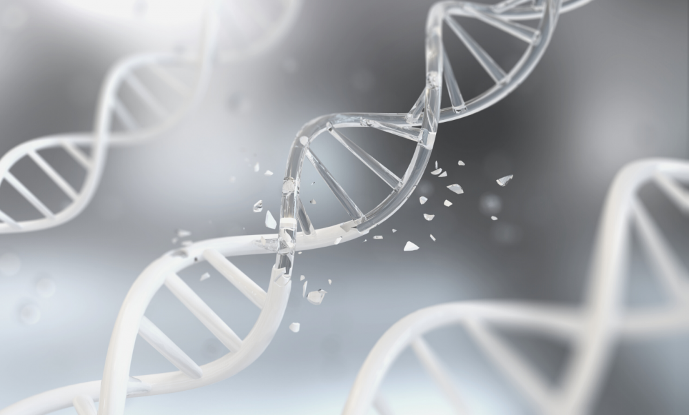 Синдром Ли-Фраумени