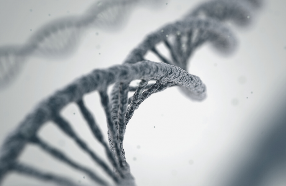 Синдром Линча